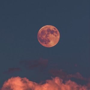 Meet your Posher, Addie